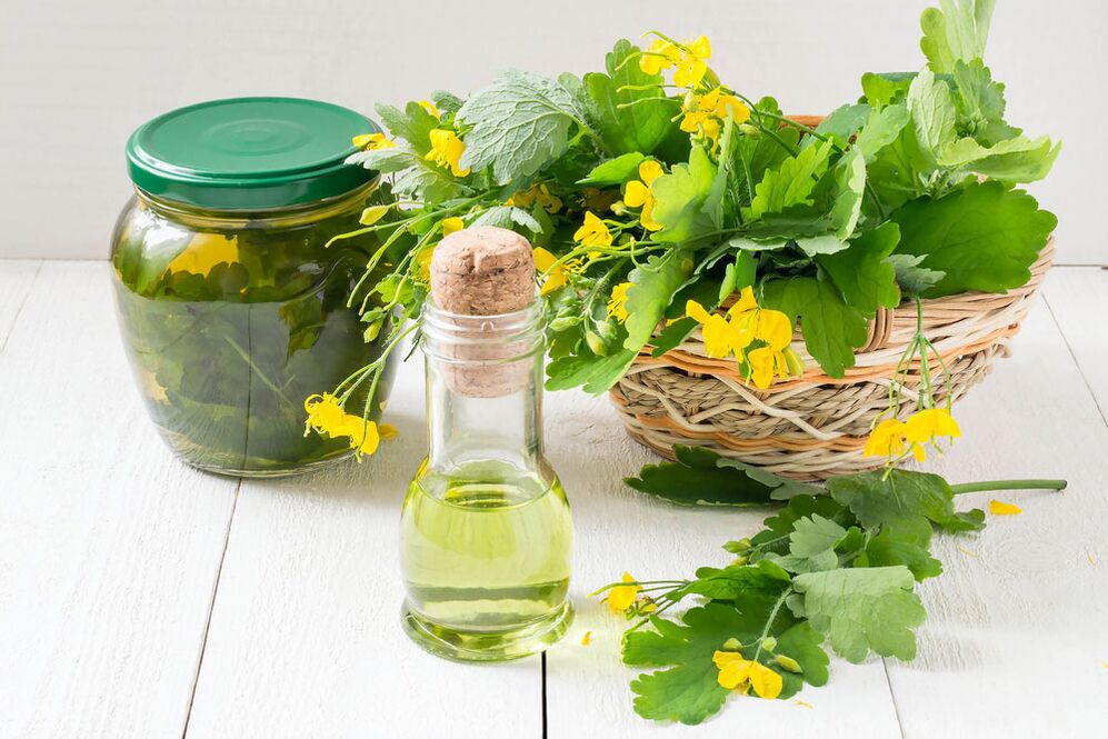 Infusão, óleo e celidônia recém-colhida para fungos nas unhas